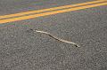20081104 apache trail 080
